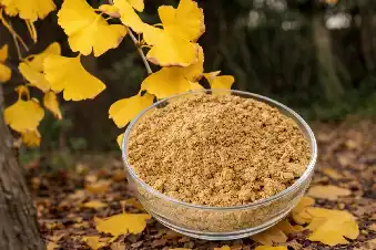 OEM Ginkgo Biloba Leaf Extract Powder Solutions for Brand Owners